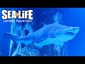 London Aquarium Tickets 2 For 1