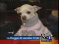 Maddox on Fox 11 Good Day LA-Los Angeles