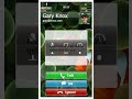 Accepting a call in the WPF based iPhone