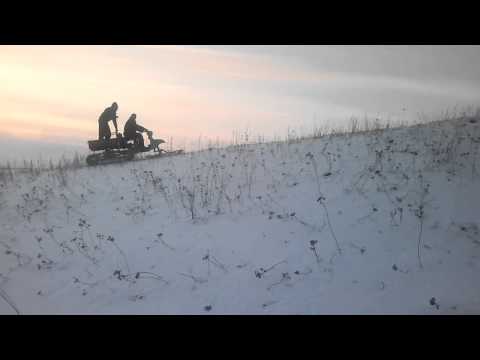 Своими руками муравей палочник 11