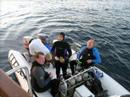 VDM Activities 2006