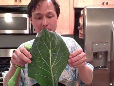 Juicing Greens, Celery, Carrots and Apples to make a Green Juice in the Samson 9005 Juicer