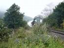 Cambrian Steam 3 Cambrian Steam 3