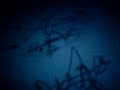 FIRMANDO EL CONTRATO - LOS STINKIES (parte 2) FIRMANDO EL CONTRATO - LOS STINKIES (parte 2)