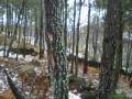 videos de aventura na neve.wmv