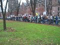 No on prop 8 Rally; New Haven, Connecticut (2 of 3)