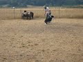 Ollie Wolston Farms 2
