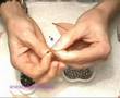 Anillo Campestre -Abalorios.es -