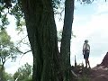 Beks goes ape Beks goes ape