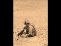 British Army-3 Para, 16 Air Assault, Afghan