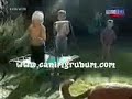 Cute & Funny Cute & Funny