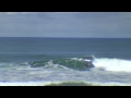 Jungle Monkeys Surf Video