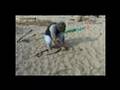 KiteBuddy vs Pet Anchor - KiteSurfing Self Launch Land Aid