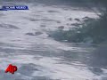 A Georgia fisherman caught hundreds of gators on video during a feeding frenzy. Experts say these frenzies are rarely seen by humans. (July 28)
