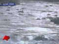 Crazy Alligator Feeding Frenzy
