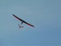 Bird over Mudgee Bird over Mudgee