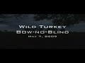 Wild Turkey w/Bow No Blind 2009