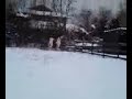 skittles being a pony