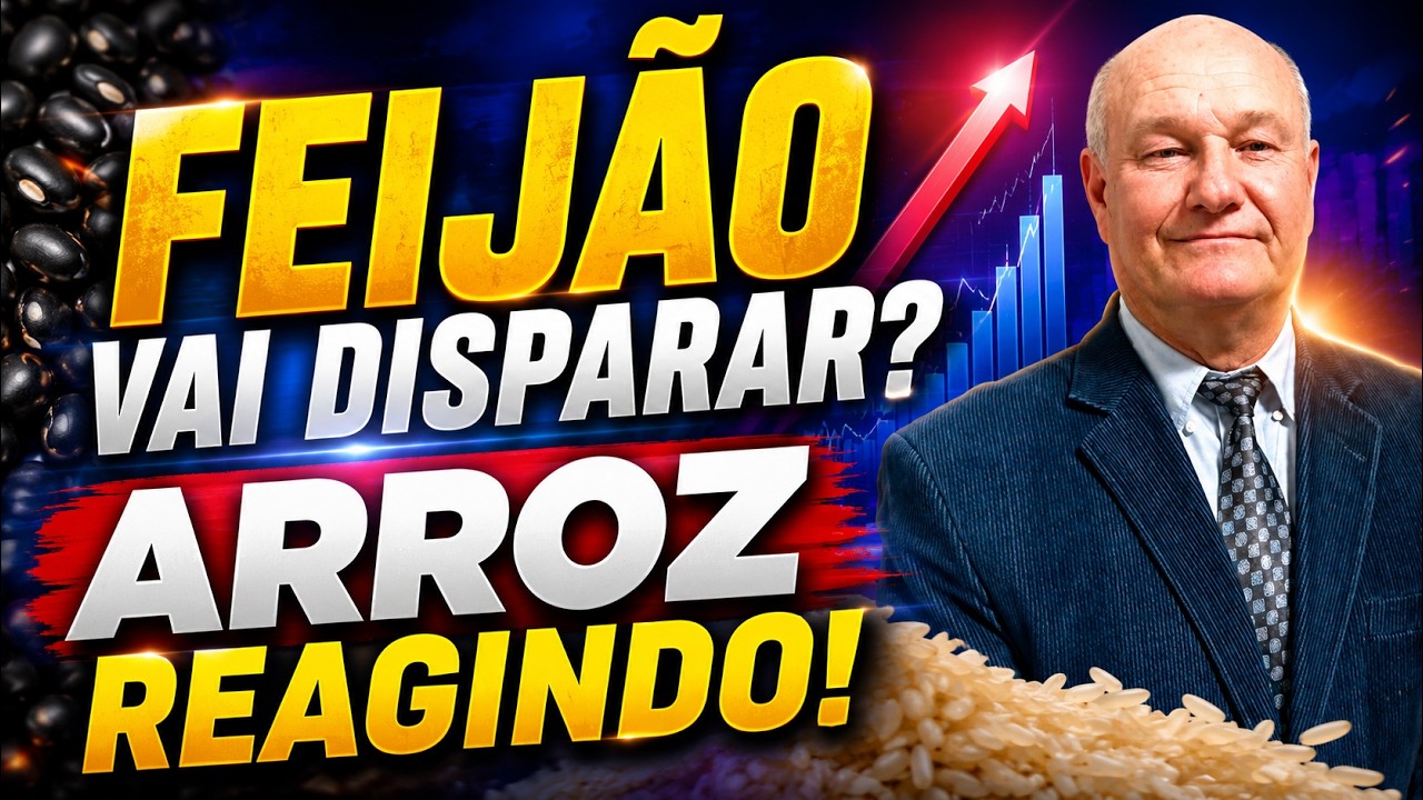 Feijão vai disparar? Arroz reage e a menor área de Trigo da história acende o alerta.