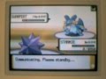Pokémon Wi-Fi Test Battle v Karan