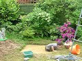deiniol at play