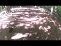 Click here to watch this video GoPro Hero 2 MTB (Quarry Wood Trails-Marlow)