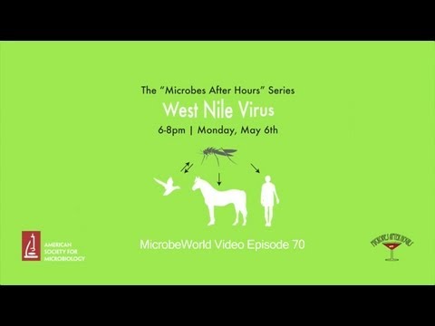 how to cure wnv