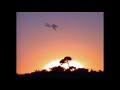 john-sweeney-bbc-on-shawn-lonsdale-scientology-critic.html