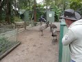 Crazy Emu\ Crazy Emu\