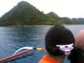 wla lng