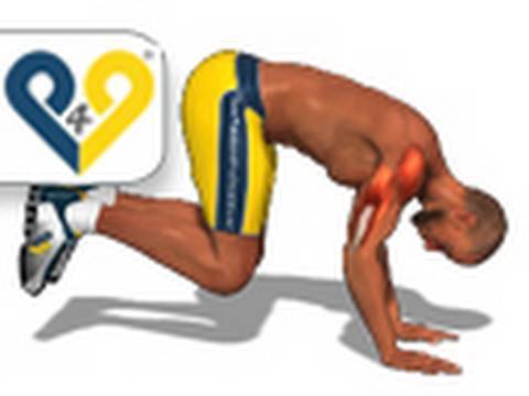 musculation Poitrine épaules et triceps