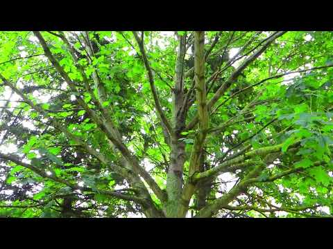 Барановичи день за днем. 21.06.22.