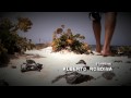 Guarda video
