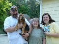 Bloodhound Puppy Love - Cayenne\ Bloodhound Puppy Love - Cayenne\