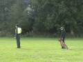 Malinois, Blackneck's A'coch 3,5 år Elitklass skydd Modprov Växjö