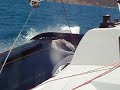 SeaCart 30 TRUE LOOK Beam Reaching, BVI