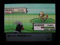 Shiny Smeargle w/ Pokeradar PLUS SHINY PATCH