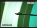 robin-hood-japon-s-.html