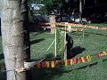  Airsoft
