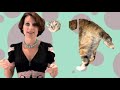 How to write a novel! Hint: you need a beginning, middle and end.