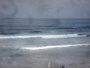 scripps