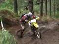 Trail Ride in the rain
