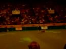 Crufts 2008 - Nova Scotia Duck Tolling Retriever BOB