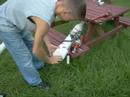 Metered Propane Spudgun Metered Propane Spudgun