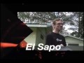 PandeRace Estadística