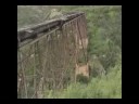 White Pass Bridge