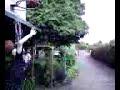 My Dunk