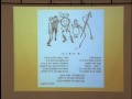 Yiddish & Jewish Education in the 20thCentury