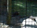 Emma Goes to the Zoo