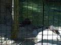 Emma Goes to the Zoo